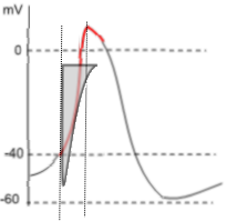 Pacemaker AP graph