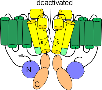 Kr closed channel