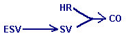 SV is common element