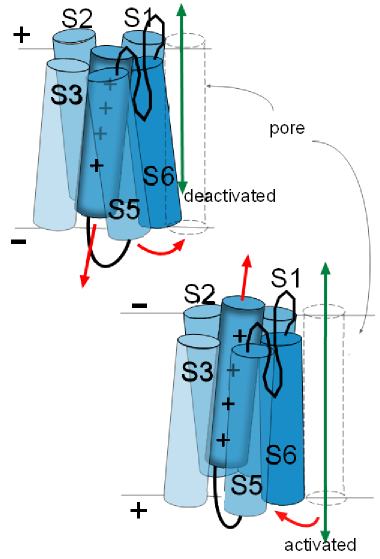 activation gate movement