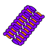 membrane