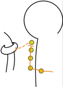 Chain Ganglia