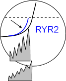 RYR2